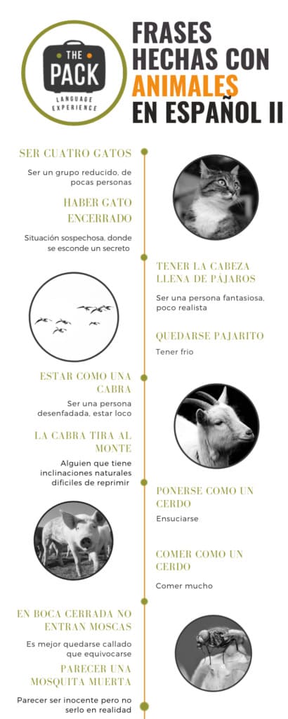Spanish idioms with animals - infographic