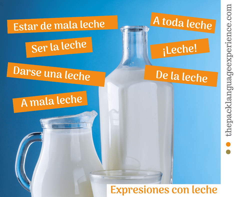 Expressions with the word leche